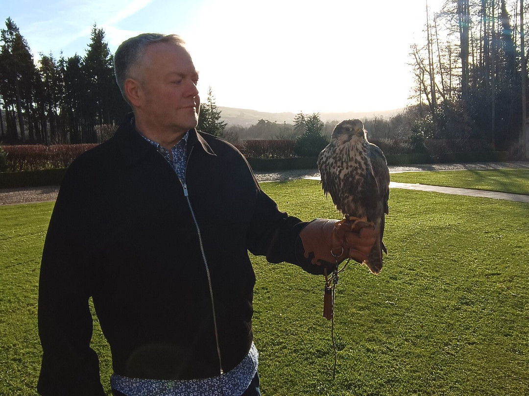 East Coast Falconry-County Wicklow必去景点