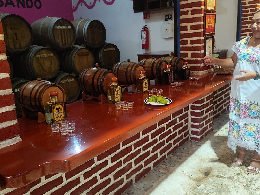 Mayapan Traditional Agave Distillery-巴利亚多利德必去景点