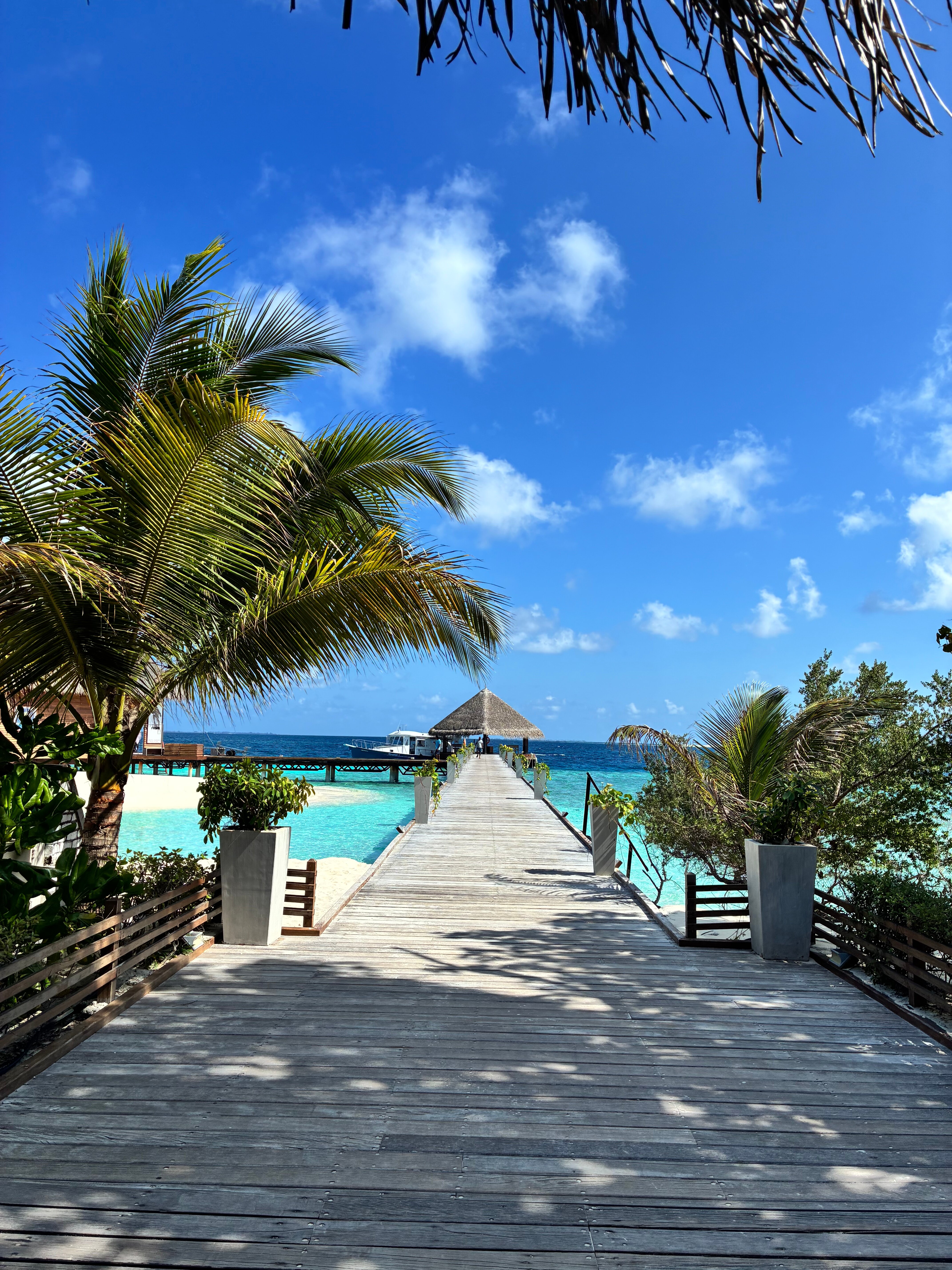 阿达兰瑞娜丽度假村-官方