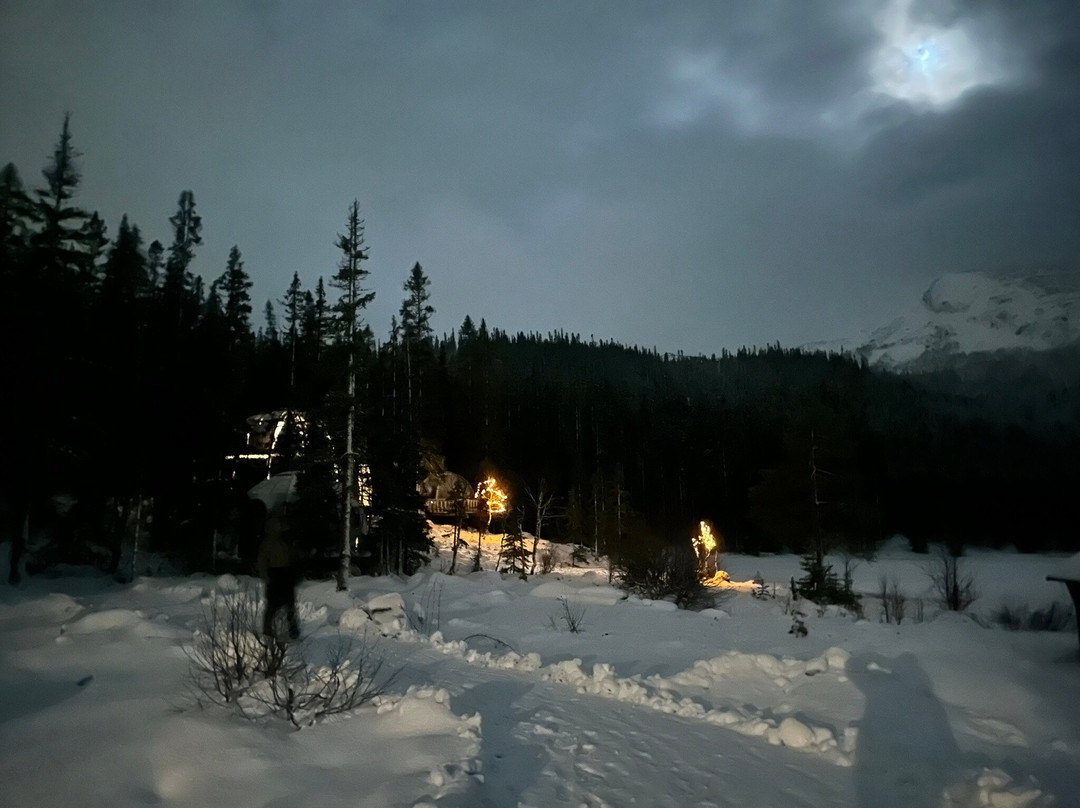 Rypetoppen Adventurepark-Meraker Municipality必去景点