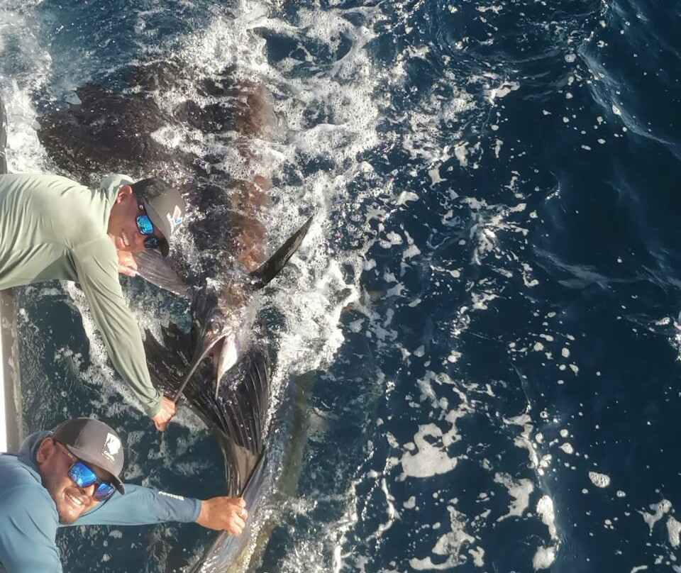 Tamarindo Sportfishing-塔马林多必去景点