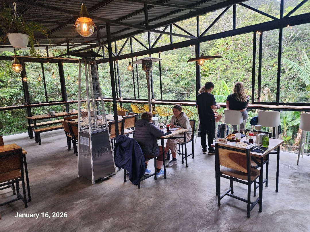 The Jungle Monteverde