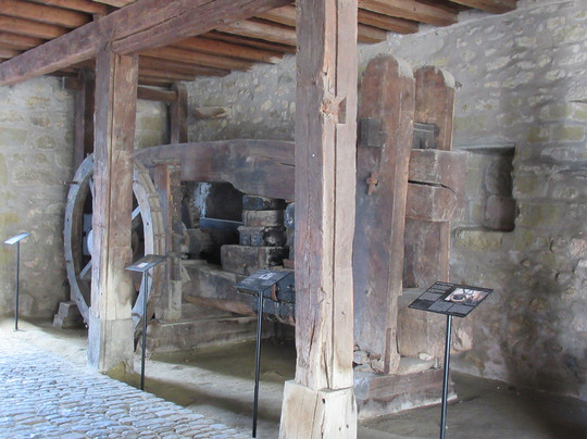 Musée d'Estavayer-le-Lac et ses Grenouilles-Estavayer-le-Lac必去景点