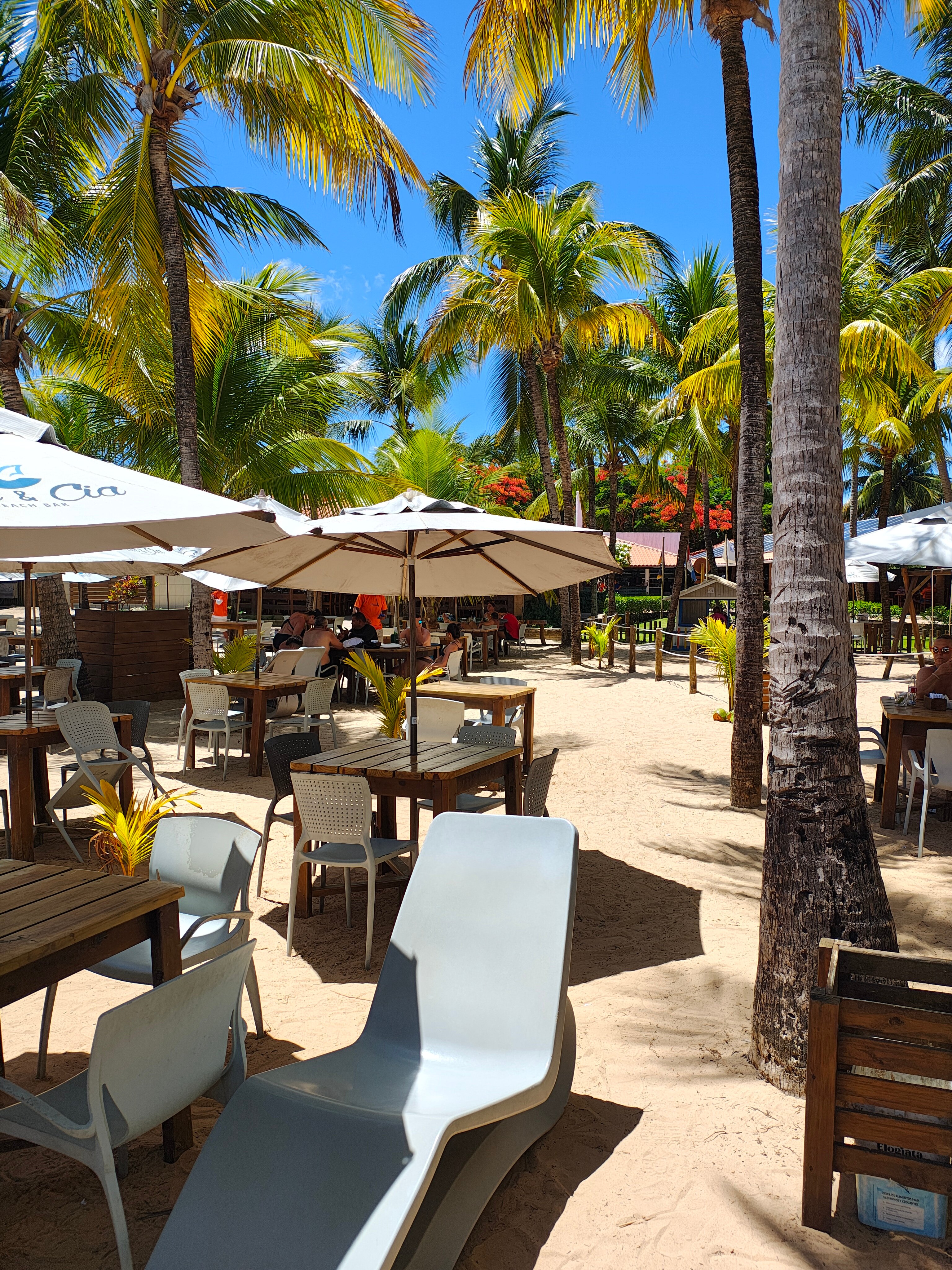 Tambaqui Praia-官方