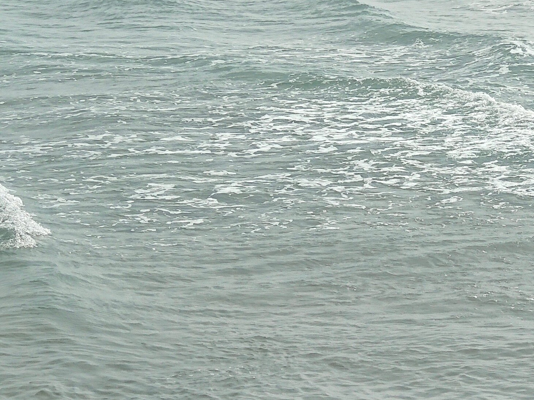 Deejohn Holidays India Tours-新德里必去景点