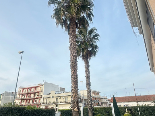 Hotel d'Altavilla主图