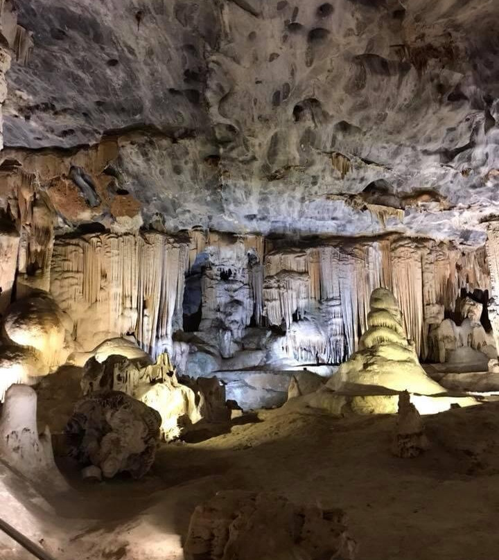 Backpacker Bus-Ottery必去景点