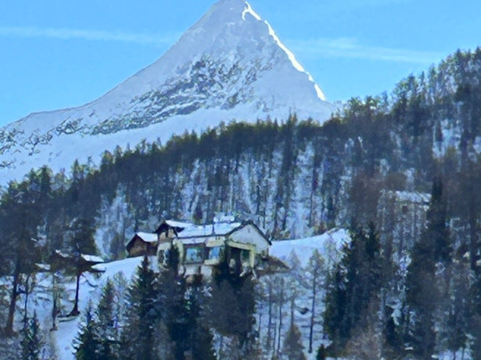 Berggasthaus Wasenalp主图