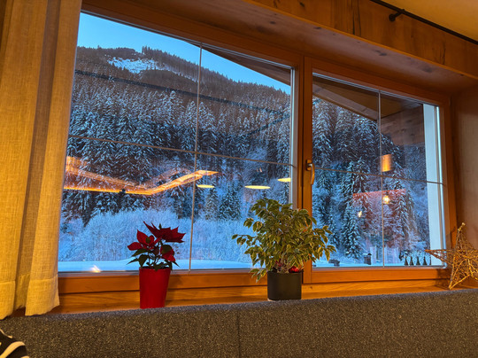 Hotel Oberwirt主图