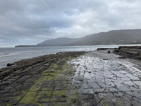 Tessellated Pavement-伊格尔霍克内克必去景点