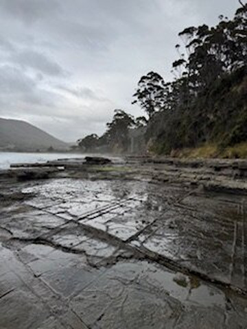 Tessellated Pavement-伊格尔霍克内克必去景点