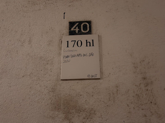 Lusovini - Vinhos de Portugal-Nelas必去景点