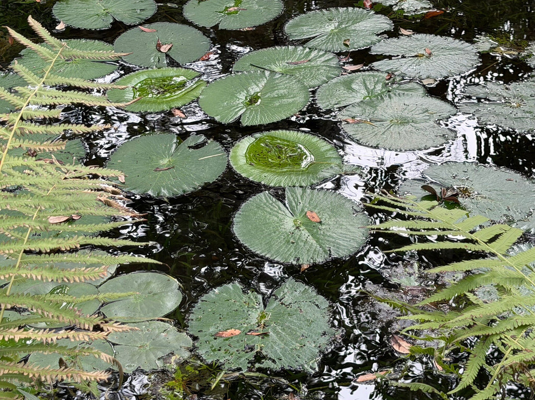 Cedar Lakes Woods & Gardens-Williston必去景点