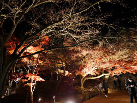 Kamado Shrine-太宰府市必去景点