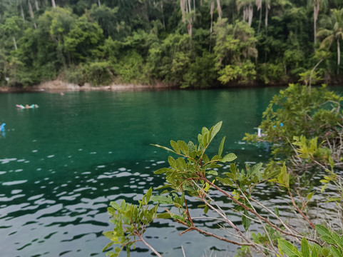 Pousada Recanto dos Passaros主图