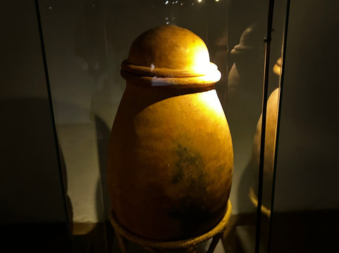 MUSA Museo Arqueologico-卡利必去景点