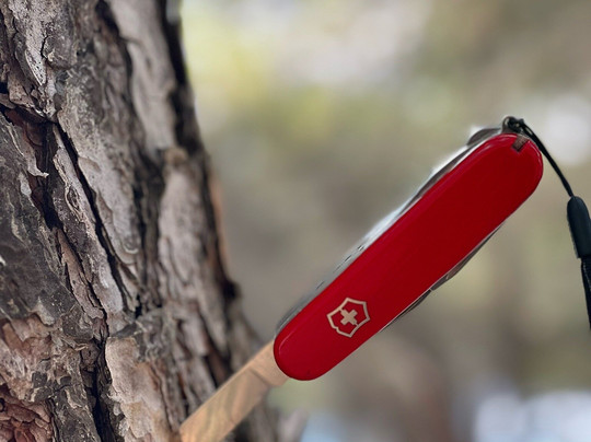 La Foret du Djebel Ouahch-君士坦丁必去景点