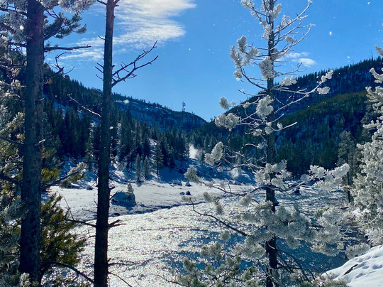 See Yellowstone Tours-西黄石镇必去景点