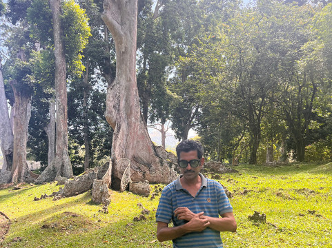 Raj Lanka Tours Nouraj-康提必去景点