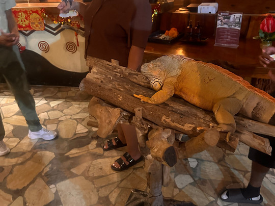 Bali Krisna Travel-金巴兰必去景点