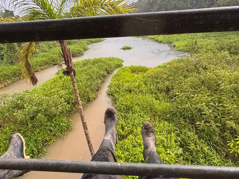 Peru Amazon Expeditions-Manu必去景点