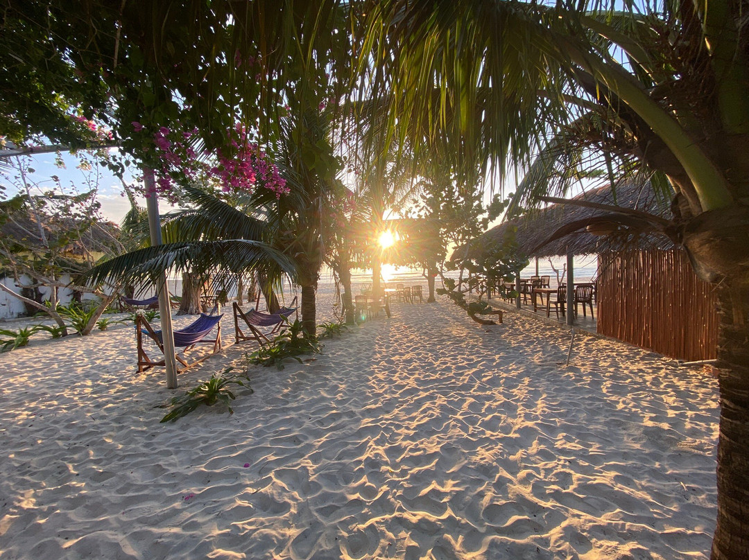 Robinson Beach Bungalow