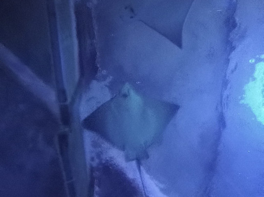 Aqua Vega Aquarium-安卡拉必去景点