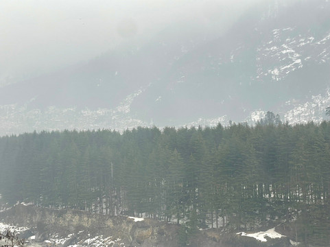 Rohtang Heights by Superb Resorts主图