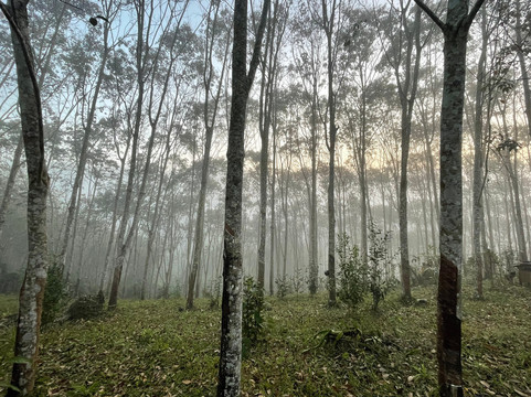 Pa Pae Meditation Retreat-夜登必去景点