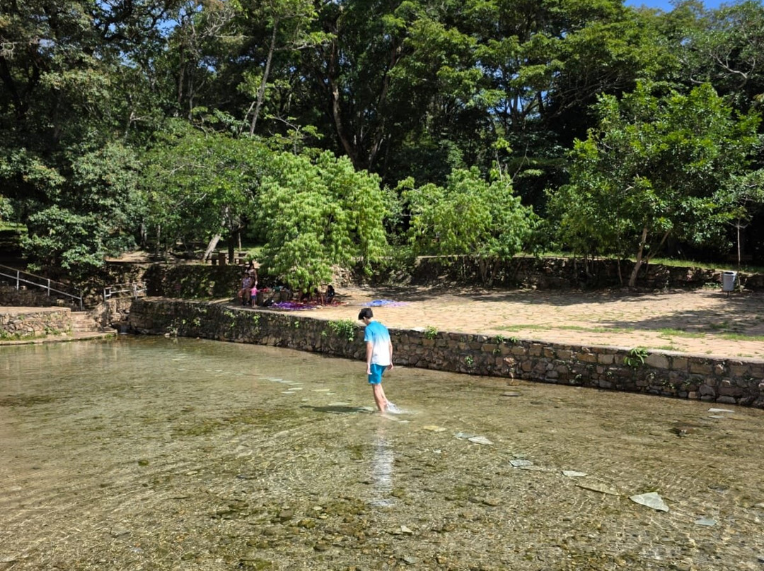 巴西利亚国家公园 (Agua Mineral)-巴西利亚必去景点