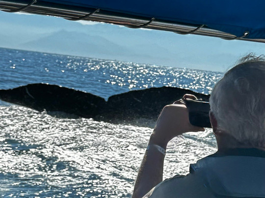 Ocean Friendly Whale Watching Tours-瓦拉塔港必去景点