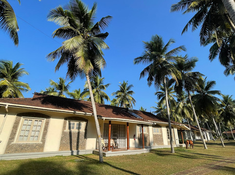 塔玛林德树酒店主图