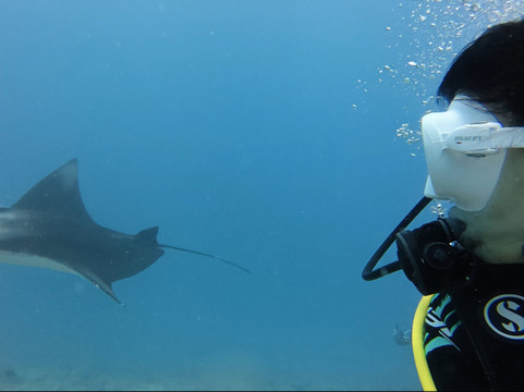 Blue Horizon-马累必去景点