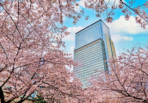 东京文华东方酒店