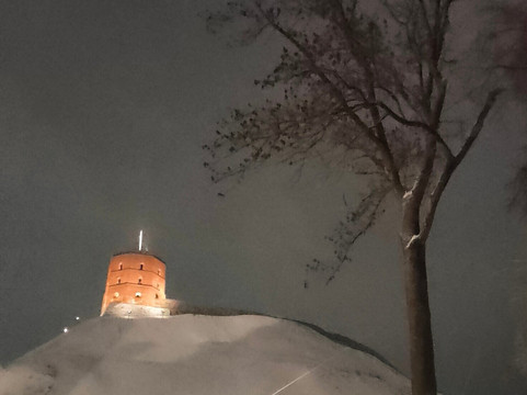 Gediminas Castle Tower-维尔纽斯必去景点