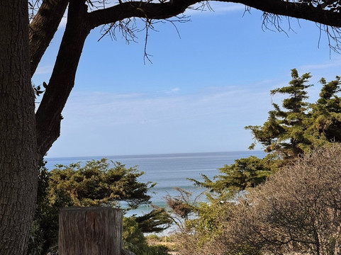 海洋贝斯特韦斯特精品酒店主图