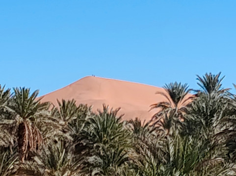 Magic Sahara Tours-卡萨布兰卡必去景点