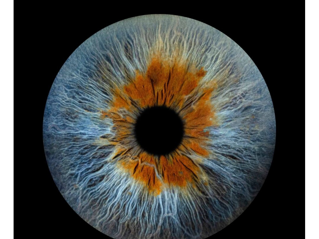 Iris Galerie Sluis-斯勒伊斯必去景点