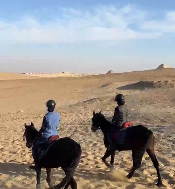 Cairo Horse Riding School-吉萨必去景点