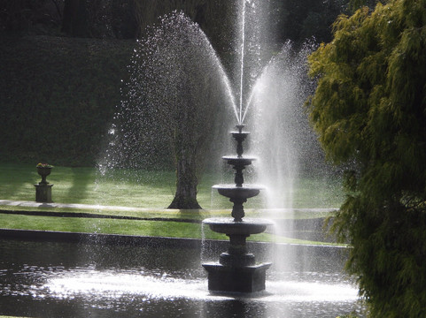 Bicton Park Botanical Gardens-Bicton必去景点