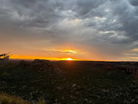 Munsterland Guest Farm