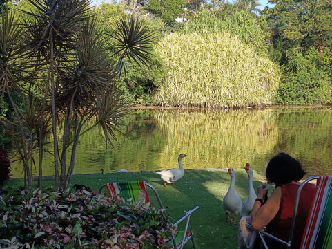 Ilha do Frade-维多利亚必去景点