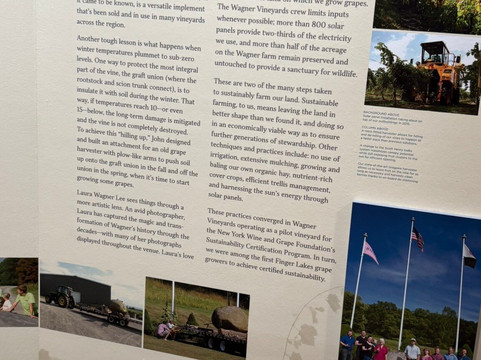 Wagner Vineyards-Lodi必去景点