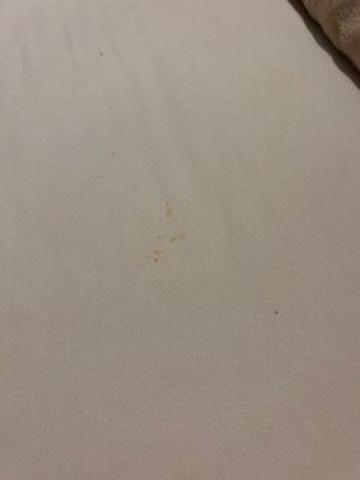 内格里尔卡利斯玛蔚蓝海滩度假村 - 餐点全包主图