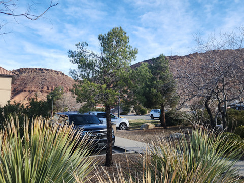 圣乔治拉昆塔温德姆套房酒店主图