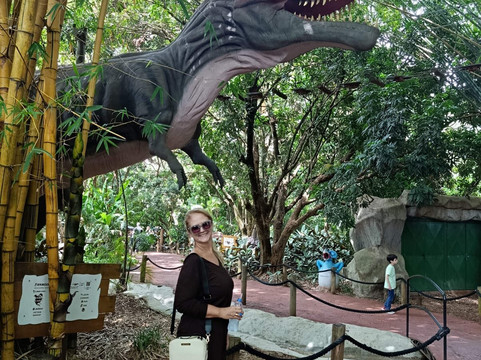 Dreams Park Show-伊瓜苏必去景点