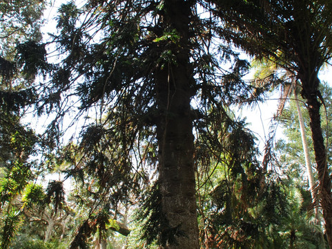 Jardim Botânico António Borges-蓬塔德尔加达必去景点