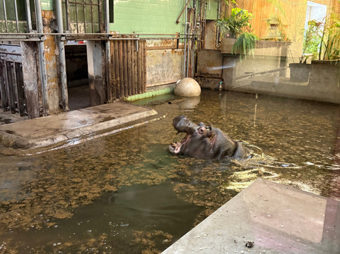 Riga Zoo-里加必去景点