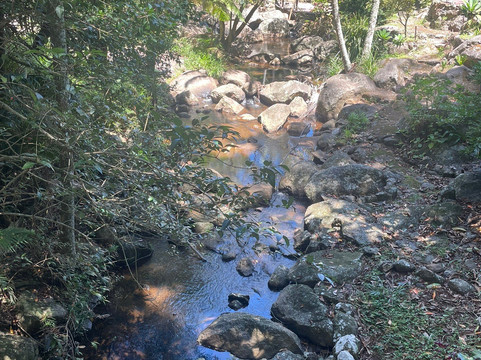 Curtis Falls-丹百林山必去景点