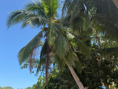 Ocam Ocam Beach-Busuanga Island必去景点